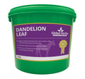 Dandelion Leaf Global Herbs 1kg