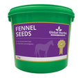 Fennel Seeds Global Herbs 1kg