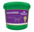 Fenugreek Seeds Global Herbs 1kg