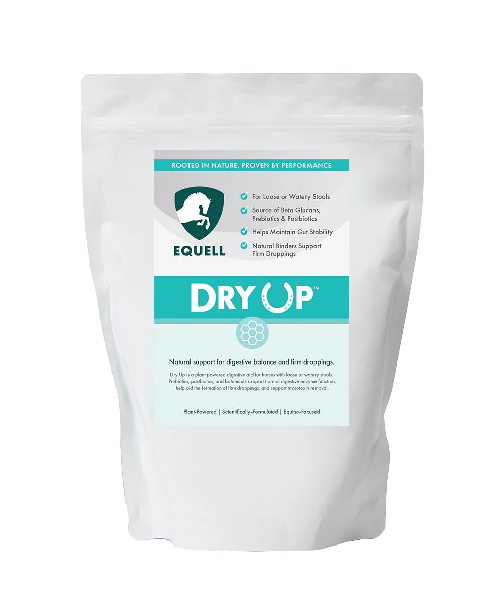 EQUELL DRY UP 1.35kg
