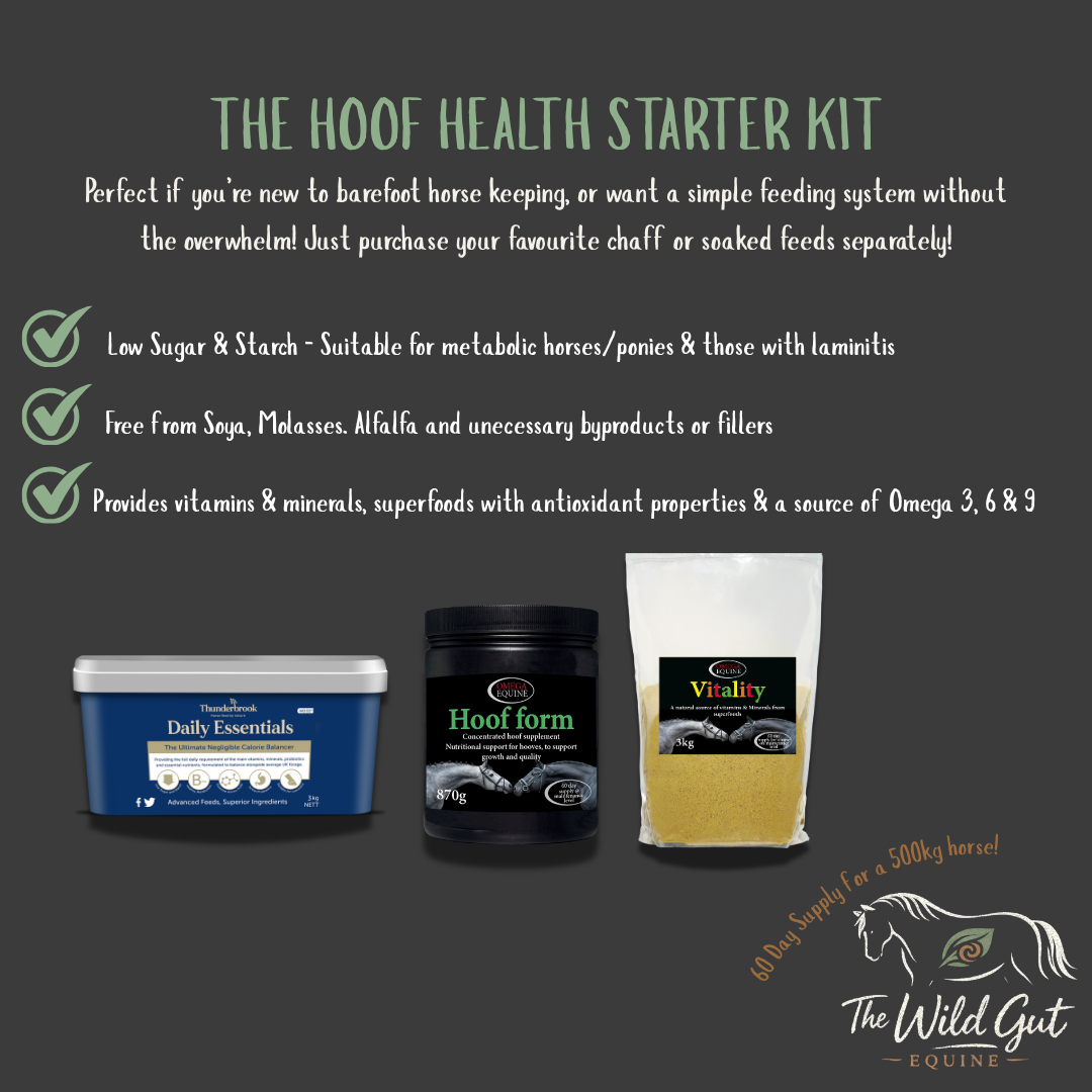 Hoof Health Starter Kit