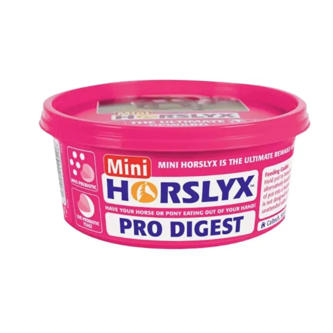 Horslyx Mini Digestion 650g