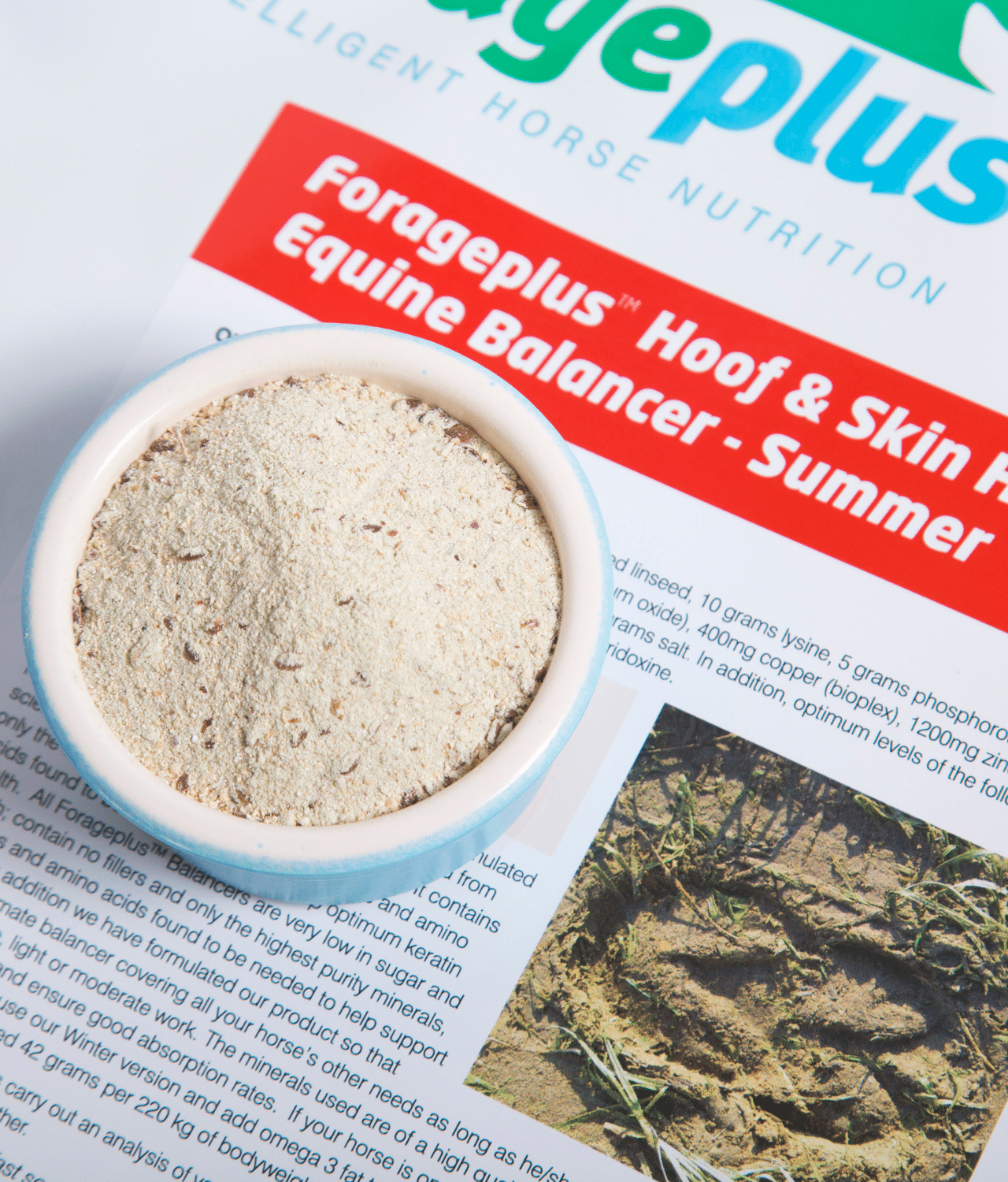 Forage Plus Hoof & Skin Health Summer Equine Balancer 5kg