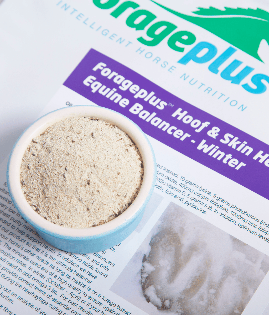 Forage Plus Hoof & Skin Health Equine Winter Balancer 5kg